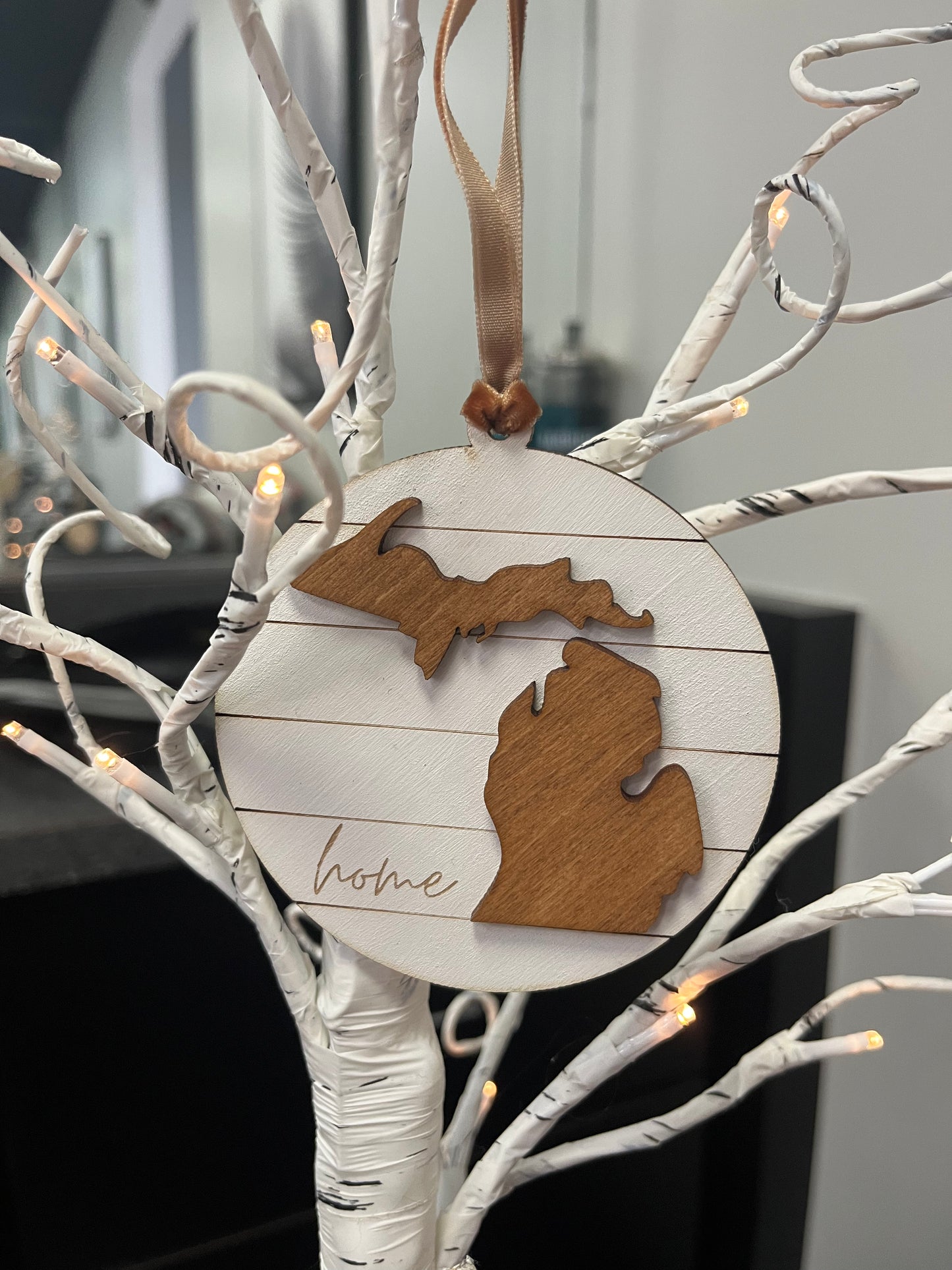 Michigan "HOME" Ornament series